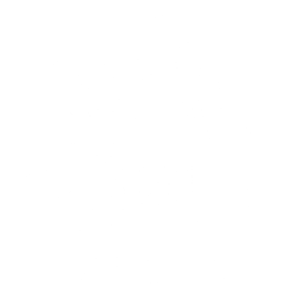 Viva Suecia
